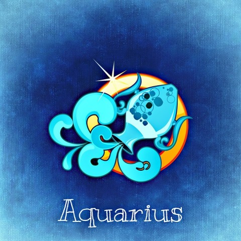 aquarius_New_Love_Times